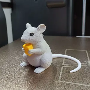 Cheese Thief Mouse
