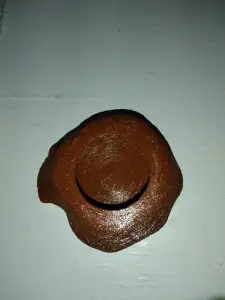 reptile plate for mealworms