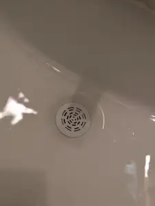 Drain Cover