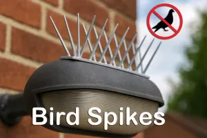 Bird Spikes