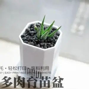 超透气60mm多肉植物育苗盆（附带底托）