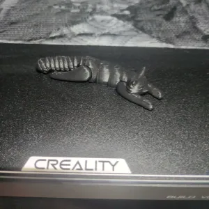 Articulated Cat