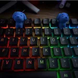 keyboard pup