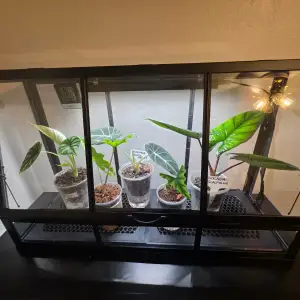 Humidifier Tray with lid for IKEA ÅKERBÄR Greenhouse
