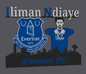 Premier League - Everton FC Iliman Ndiaye display