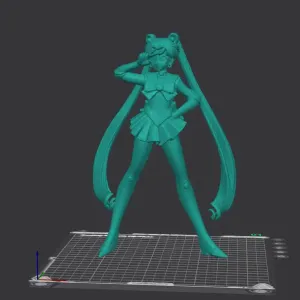 Sailor Moon (Fan Art)