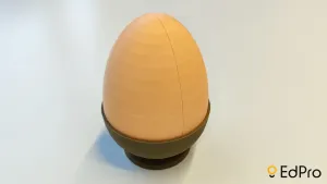 Egg structure