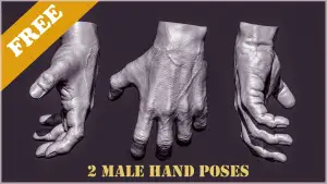 2 Male hand poses free