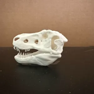 T-Rex Skull