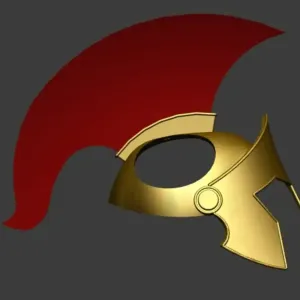 helmet for a cat