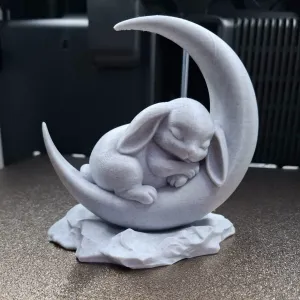 Sleeping Bunny on the Moon