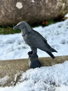 eagle
