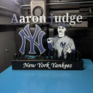 MLB - New York Yankees Aaron Judge Display