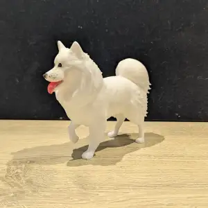 Japanese Spitz