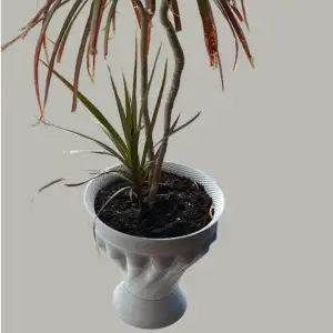 vase-style flower pot