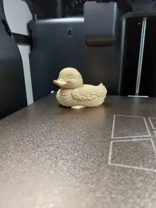 Gentle Little Duck