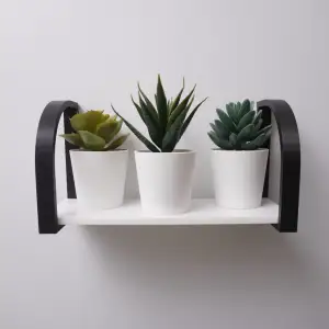 Plant shelf