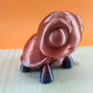 Turtle Cute