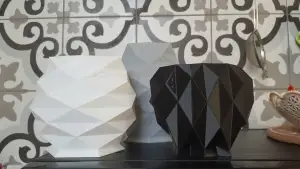 Fish vases