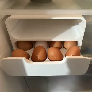 Refrigerator Egg Tray (32 Eggs)