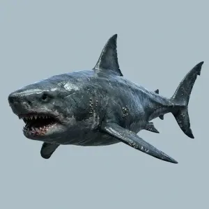 Megalodon