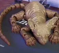 articulared sphynx