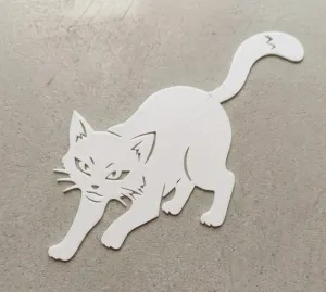 猫の発見