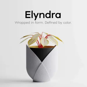 Elyndra – Wrapped in form. Defined by color.