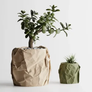 Crumbled Paper Plant Pot