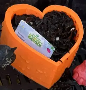 Seeding Pot - Heart Shaped