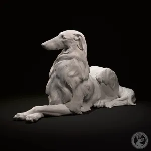 Borzoi lies elegantly
