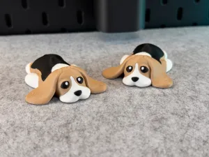 Cute Dog
