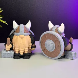 Little Viking