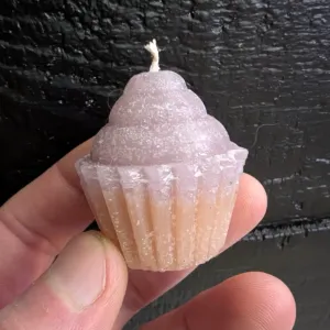 Mini Cupcake Wax Candle Mold