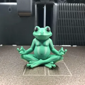 Zen Frog