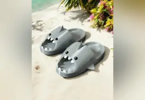 Mad shark slide