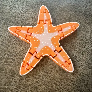flexi starfish