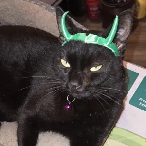 loki and Annabelle