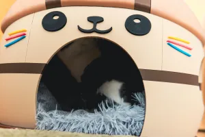 Cute Kawai Cat House - Fullsize Pet Home