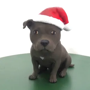 Balou - engelse stafford / Balou - english staffordshire