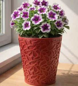 FLOWER POT