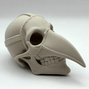 Plague Doctor Skull