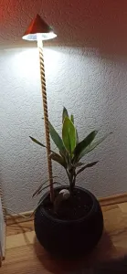 Pflanzenleuchte / plant light