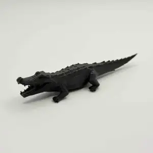 Hungry Crocodile