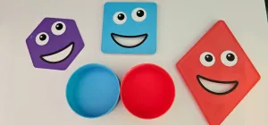 Shape Sorting Sensory Game: Montessori Educational Toy