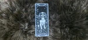 Cavalier King Charles Spaniel Bookmark