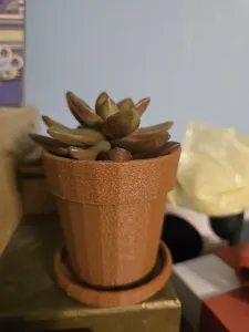 Clay Pot