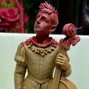 The Winter Cellist