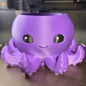 Cute Octopus Planter w/drain