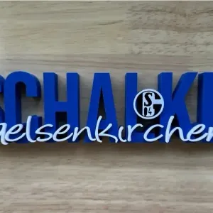 Fc Schalke 04